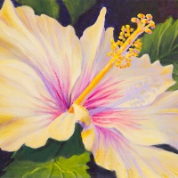 Afternoon-Glow-Web-sz