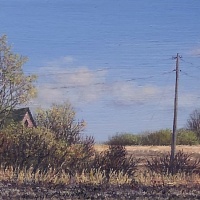 Hopeful-Spring-nsltr