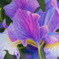 In a Wild Garden orig. sz pink and white iris flower