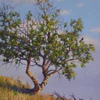 JudyLeilaSchafers-Fortitude