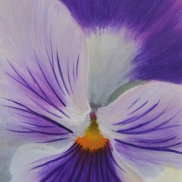 JudyLeilaSchafers-Sun-Dappl