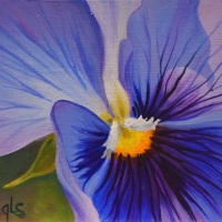 JudyLeilaSchafers-purple-cr