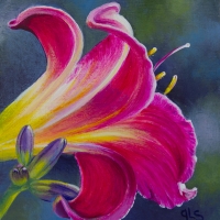 website-sz-Fuscia-Fiesta