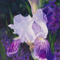 Essence-of-Spring-websz