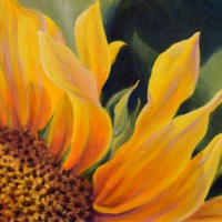 JudyLeilaSchafers-Sundance-