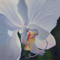 sweet-dreams-revised-web-sz