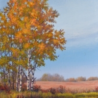 thumbs_Amber-Evening-web