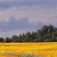 thumbs_Canola-at-the-Golden-Hour-nsltr