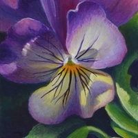 thumbs_Early-Morning-Smile-website