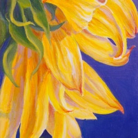 thumbs_Fairy-Tutu-website-size