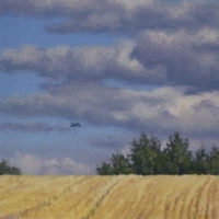 thumbs_Field-Stubble-web-sz