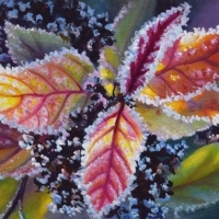 thumbs_Judy-LeilaSchafers-Garden-G