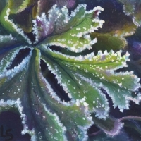 thumbs_JudyLeilaSchafers-Dawns-Ea