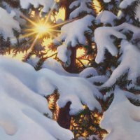 thumbs_JudyLeilaSchafers-Rays-of-H