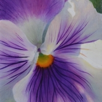 thumbs_JudyLeilaSchafers-Serenity-