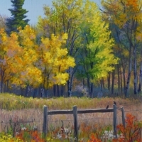 thumbs_JudyLeilaSchafers-Splash-of