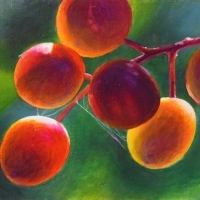 thumbs_JudyLeilaSchafers-Summer-So