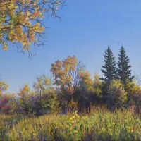 thumbs_JudyLeilaSchafers-Wonderful-Day-to-Be-Alive-webiste-sz