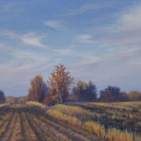 thumbs_JudyLeilaSchafers-range-roa