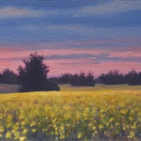 thumbs_JudyLeilaSchafers-twighligh