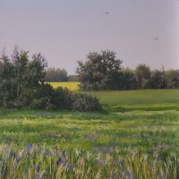 thumbs_JudyLeilaSchafers-website-G