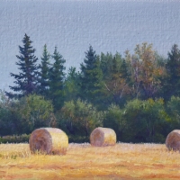 thumbs_While-the-Sun-Shines-sm-print-sz