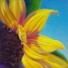thumbs_bright-yellow-sunflower