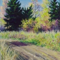 thumbs_fall-tamarack-road-puddle