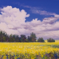 thumbs_nsltr-website-sz-canola-storm