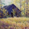 thumbs_old-shack-in-the-woods