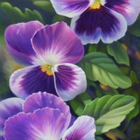 thumbs_purple-pansies-complete