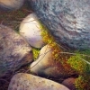 thumbs_rocks-moss-web