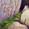thumbs_rocks-soft-places-webjpg