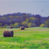 thumbs_round-bales-green-pasture