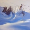 thumbs_snow-drift-fence-post-web