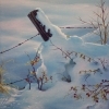 thumbs_snowy-fence-post-web