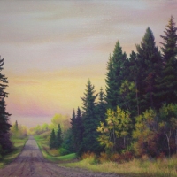 thumbs_spruce-trees-sunset-clouds2