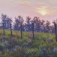 thumbs_sunset-fence-website-size