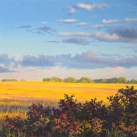 thumbs_website-szJudyLeilaSchafers