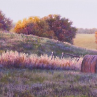 Vibrant Fall Light or sz 2