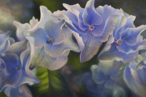 Florals & Botanicals