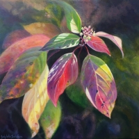 JudyLeilaSchafers-beginning of the end