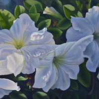 JudyLeilaSchafers-Gardener'