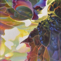 JudyLeilaSchafers-Slice-of-