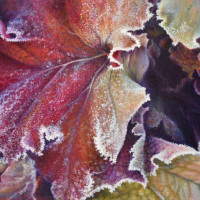 JudyLeilaSchafers-Summer's-