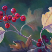 JudyLeilaSchafers-Thanksgiving-Celebration-we