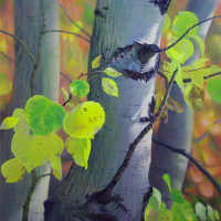 aspen-trunks-web