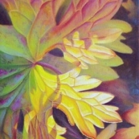 autumn-light