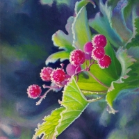 cranberry-ice-painting-web