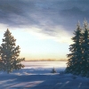 december-dawn